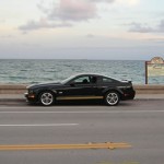 2007 Hertz Shelby Mustang at Fort Lauderdale Beach 2007 Hertz Shelby Mustang at Fort Lauderdale Beach
