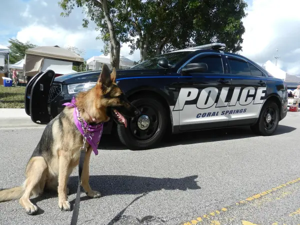 Coco in front of a Coral Springs Police Car